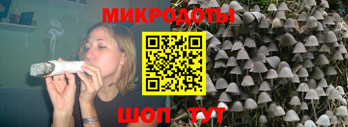 где найти наркотики  Псилоцибиновые грибы мухоморы  Вход с VPN  Спасск-Дальний  Галлюциногенные грибы Psilocybine cubensis 