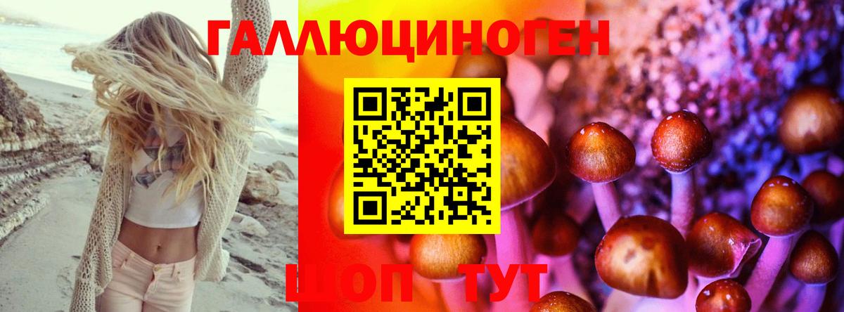Псилоцибиновые грибы прущие грибы Спасск-Дальний